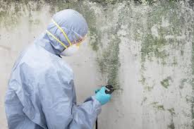 Mold Remediation for Vacation Homes in Two Rivers, WI